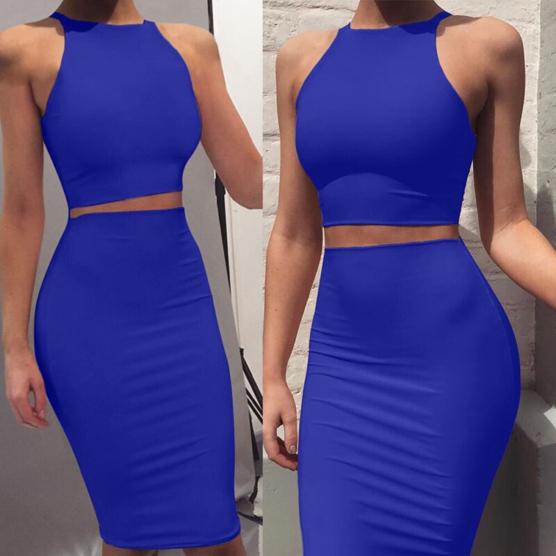 Bodycon Skirt Suit- 2 PCS