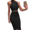 Bodycon Skirt Suit- 2 PCS