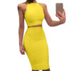 Bodycon Skirt Suit- 2 PCS