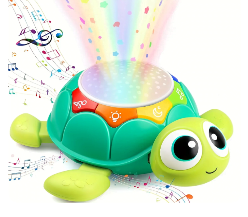 Musical Remote Control Crawling Turtle